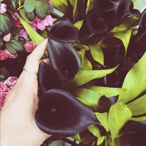 Meet your Posher, Chelsea